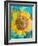 Montage of a Sunflower, Composing-Alaya Gadeh-Framed Photographic Print