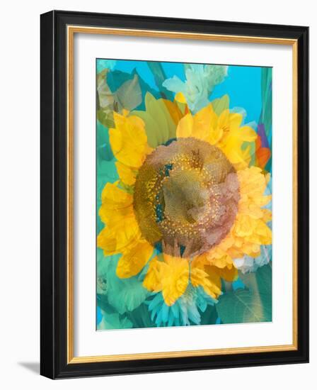 Montage of a Sunflower, Composing-Alaya Gadeh-Framed Photographic Print