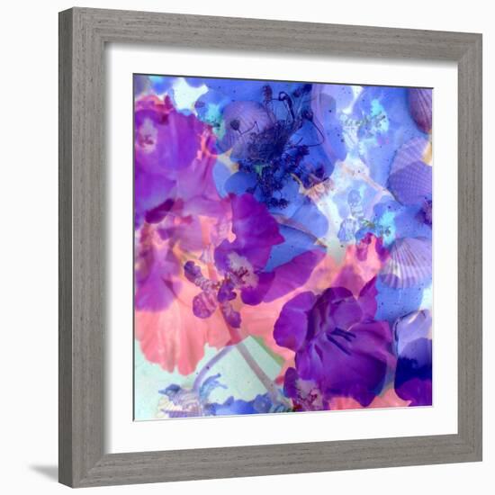 Montage of Blossoms and Mussels in Violet and Lilac Tones-Alaya Gadeh-Framed Photographic Print