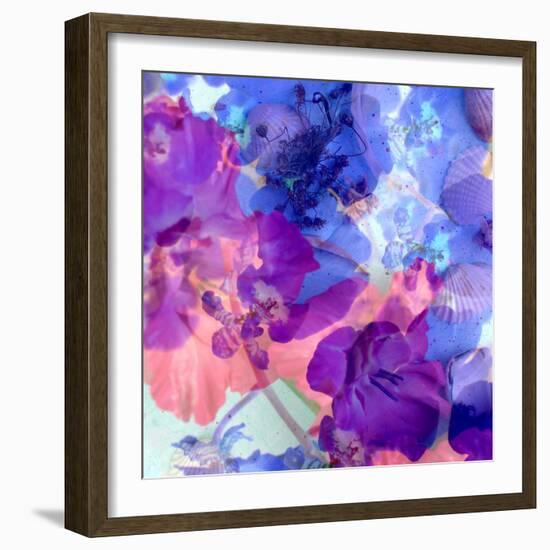 Montage of Blossoms and Mussels in Violet and Lilac Tones-Alaya Gadeh-Framed Photographic Print