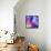 Montage of Blossoms and Mussels in Violet and Lilac Tones-Alaya Gadeh-Framed Premier Image Canvas displayed on a wall