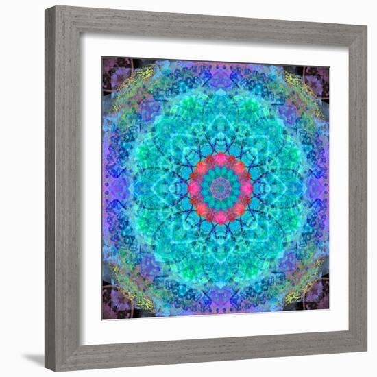 Montage of Flower Photographies in a Symmetrical Ornament, Mandala-Alaya Gadeh-Framed Photographic Print