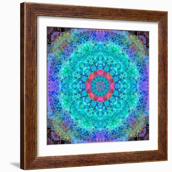 Montage of Flower Photographies in a Symmetrical Ornament, Mandala-Alaya Gadeh-Framed Photographic Print