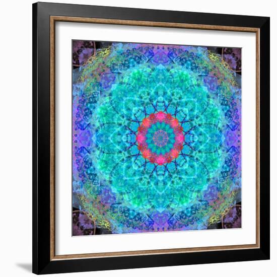 Montage of Flower Photographies in a Symmetrical Ornament, Mandala-Alaya Gadeh-Framed Photographic Print