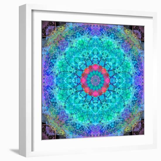 Montage of Flower Photographies in a Symmetrical Ornament, Mandala-Alaya Gadeh-Framed Photographic Print