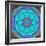 Montage of Flower Photographies in a Symmetrical Ornament, Mandala-Alaya Gadeh-Framed Photographic Print