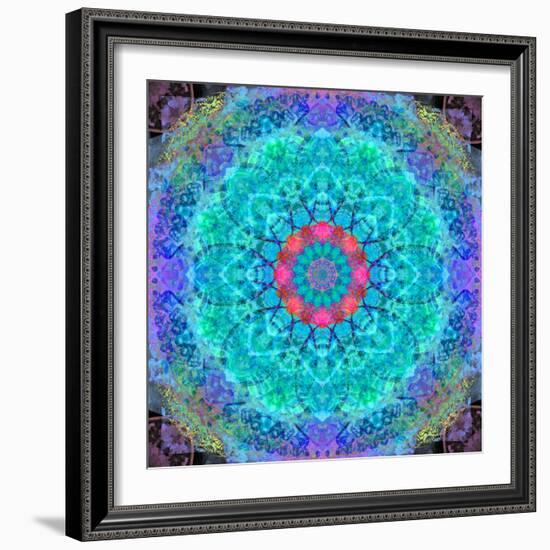 Montage of Flower Photographies in a Symmetrical Ornament, Mandala-Alaya Gadeh-Framed Photographic Print