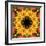 Montage of Flower Photographies, Orchids in a Symmetrical Ornament, Mandala-Alaya Gadeh-Framed Photographic Print