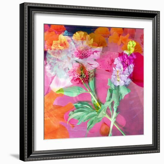 Montage of Flower Photographies-Alaya Gadeh-Framed Photographic Print