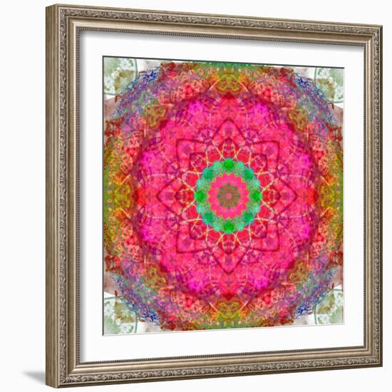 Montage of Flowers, Photographies in a Symmetrical Ornament, Mandala-Alaya Gadeh-Framed Photographic Print