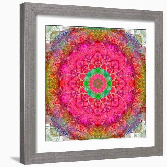 Montage of Flowers, Photographies in a Symmetrical Ornament, Mandala-Alaya Gadeh-Framed Photographic Print