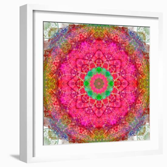 Montage of Flowers, Photographies in a Symmetrical Ornament, Mandala-Alaya Gadeh-Framed Photographic Print
