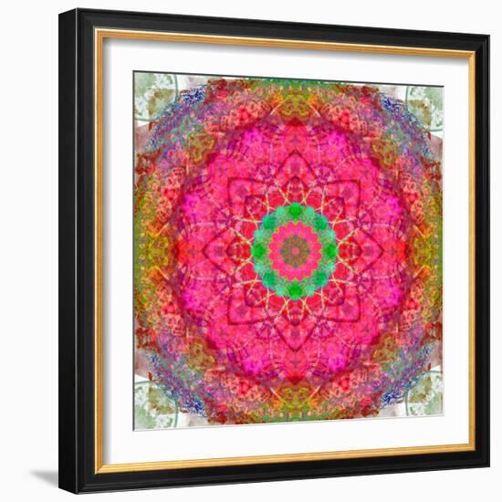 Montage of Flowers, Photographies in a Symmetrical Ornament, Mandala-Alaya Gadeh-Framed Photographic Print