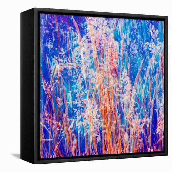 Montage of Grasses-Alaya Gadeh-Framed Premier Image Canvas