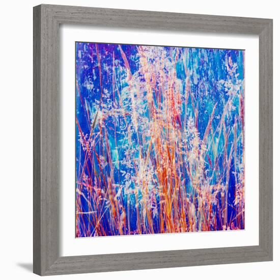 Montage of Grasses-Alaya Gadeh-Framed Photographic Print