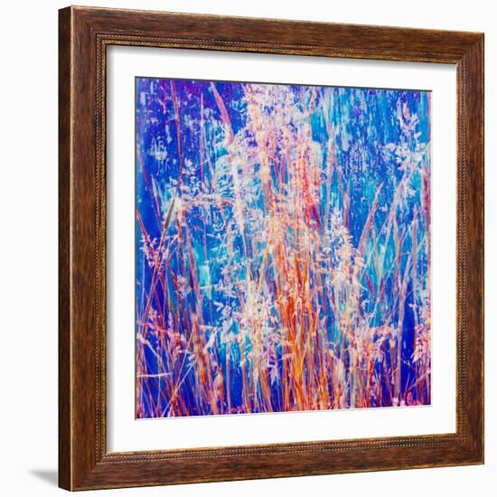 Montage of Grasses-Alaya Gadeh-Framed Photographic Print