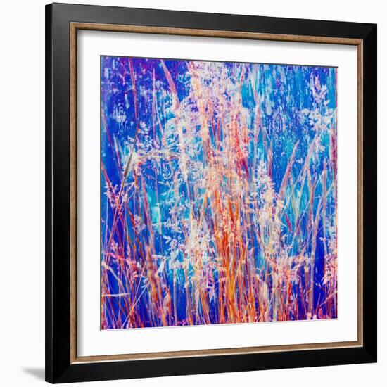 Montage of Grasses-Alaya Gadeh-Framed Photographic Print