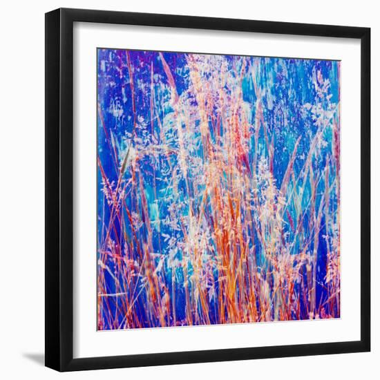 Montage of Grasses-Alaya Gadeh-Framed Photographic Print