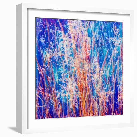 Montage of Grasses-Alaya Gadeh-Framed Photographic Print