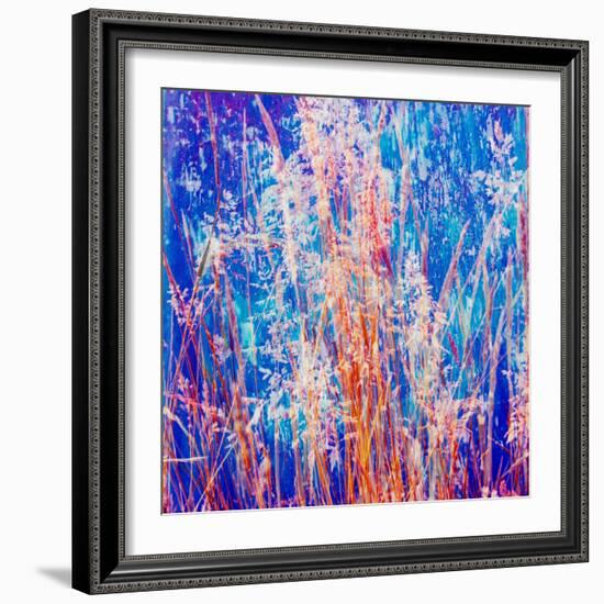 Montage of Grasses-Alaya Gadeh-Framed Photographic Print