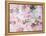 Montage of Pink Roses on a Painted Background-Alaya Gadeh-Framed Premier Image Canvas