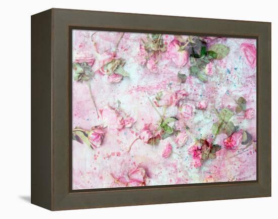 Montage of Pink Roses on a Painted Background-Alaya Gadeh-Framed Premier Image Canvas