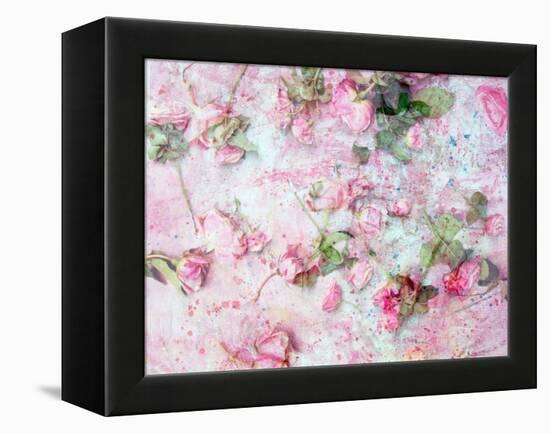 Montage of Pink Roses on a Painted Background-Alaya Gadeh-Framed Premier Image Canvas