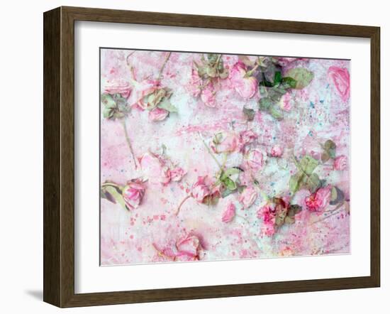 Montage of Pink Roses on a Painted Background-Alaya Gadeh-Framed Photographic Print