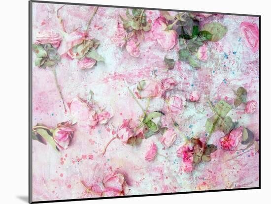 Montage of Pink Roses on a Painted Background-Alaya Gadeh-Mounted Photographic Print