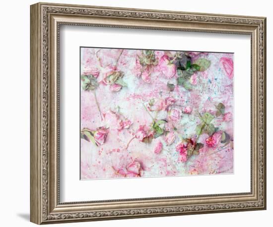 Montage of Pink Roses on a Painted Background-Alaya Gadeh-Framed Photographic Print