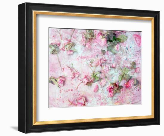 Montage of Pink Roses on a Painted Background-Alaya Gadeh-Framed Photographic Print