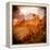 Montage of the Spanish Steps, Rome, Italy-Nancy & Steve Ross-Framed Premier Image Canvas