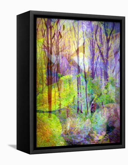 Montage of Trees and Flowers-Alaya Gadeh-Framed Premier Image Canvas