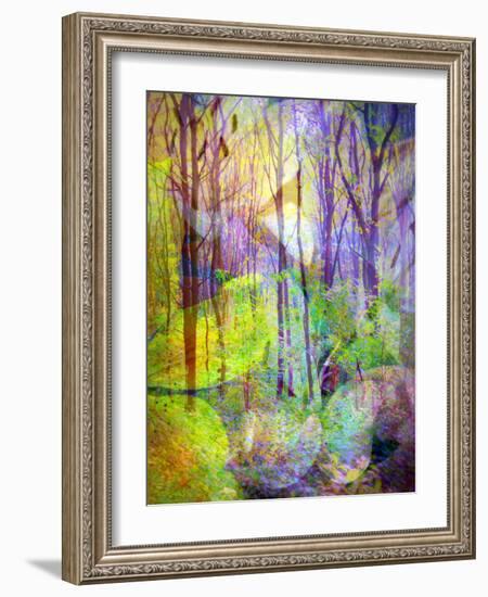 Montage of Trees and Flowers-Alaya Gadeh-Framed Photographic Print