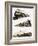 Montage of Us Trains-John S. Smith-Framed Giclee Print