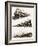 Montage of Us Trains-John S. Smith-Framed Giclee Print