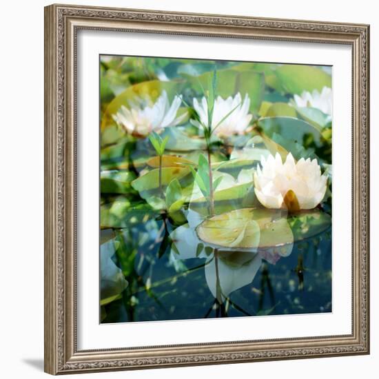 Montage of White Water Lilies-Alaya Gadeh-Framed Photographic Print