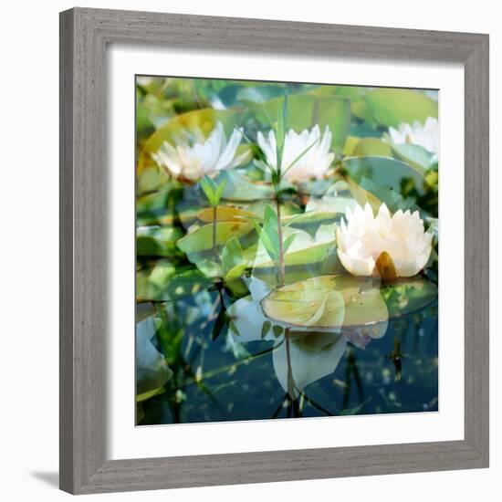 Montage of White Water Lilies-Alaya Gadeh-Framed Photographic Print