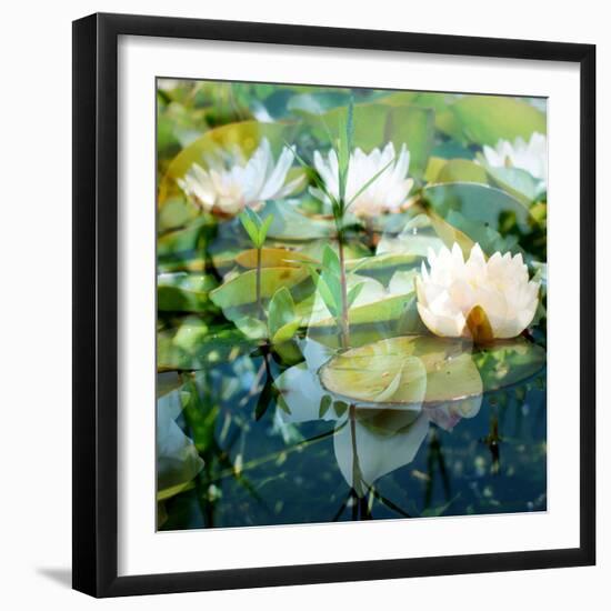 Montage of White Water Lilies-Alaya Gadeh-Framed Photographic Print