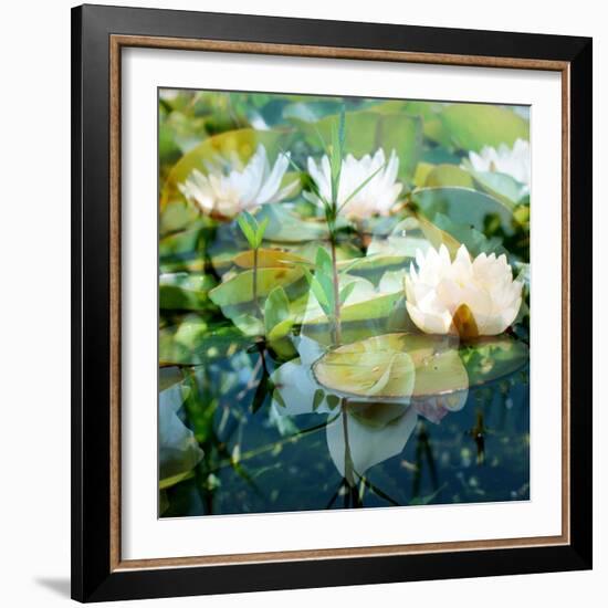 Montage of White Water Lilies-Alaya Gadeh-Framed Photographic Print