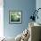 Montage of White Water Lilies-Alaya Gadeh-Framed Photographic Print displayed on a wall