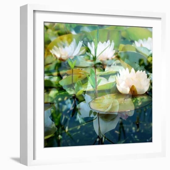 Montage of White Water Lilies-Alaya Gadeh-Framed Photographic Print