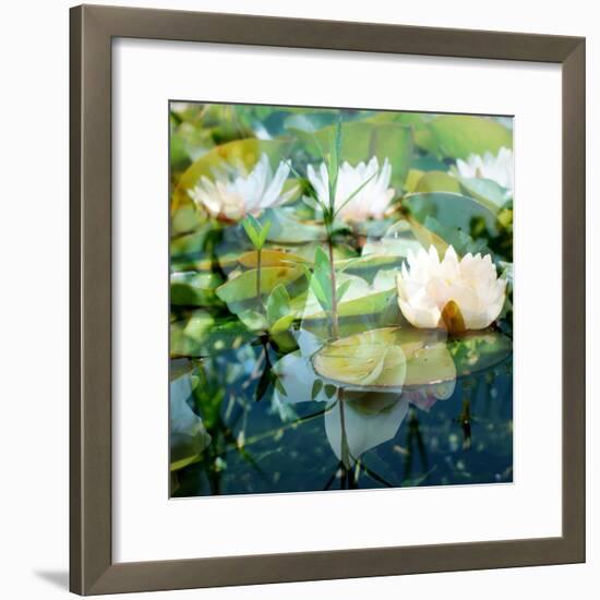 Montage of White Water Lilies-Alaya Gadeh-Framed Photographic Print