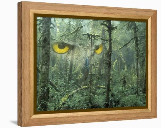 Montage, Owl, Forest, Oregon, USA-Nancy Rotenberg-Framed Premier Image Canvas