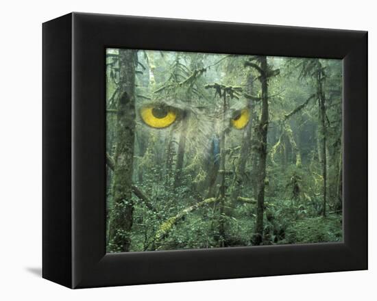 Montage, Owl, Forest, Oregon, USA-Nancy Rotenberg-Framed Premier Image Canvas