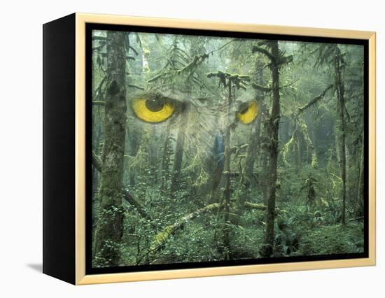 Montage, Owl, Forest, Oregon, USA-Nancy Rotenberg-Framed Premier Image Canvas