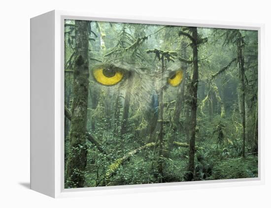 Montage, Owl, Forest, Oregon, USA-Nancy Rotenberg-Framed Premier Image Canvas