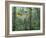 Montage, Owl, Forest, Oregon, USA-Nancy Rotenberg-Framed Photographic Print