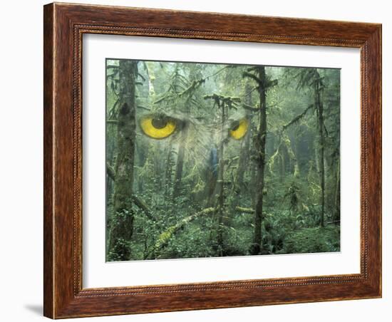 Montage, Owl, Forest, Oregon, USA-Nancy Rotenberg-Framed Photographic Print