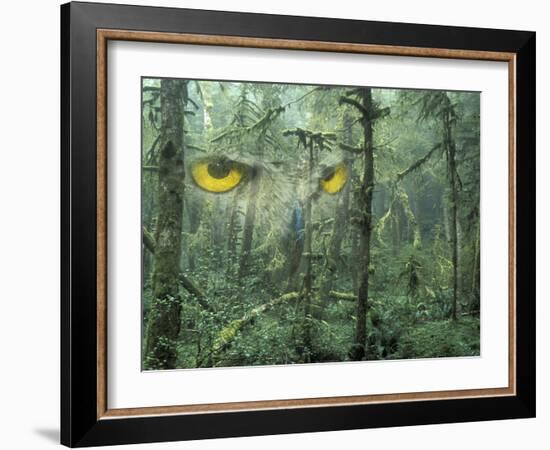 Montage, Owl, Forest, Oregon, USA-Nancy Rotenberg-Framed Photographic Print